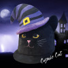 Cosmic Cat Hat Silk