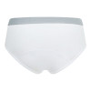 Dressage Brief - Primo