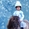 Fjord Snowflake Pom Hat Silk