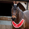 Reindeer Antler Bridle Accessory