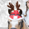 Santa Glitter Snowflake Hat Horse Bonnet