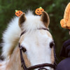 Wicked Pumpkin Bridle Boppers