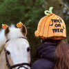 Wicked Pumpkin Hat Silk